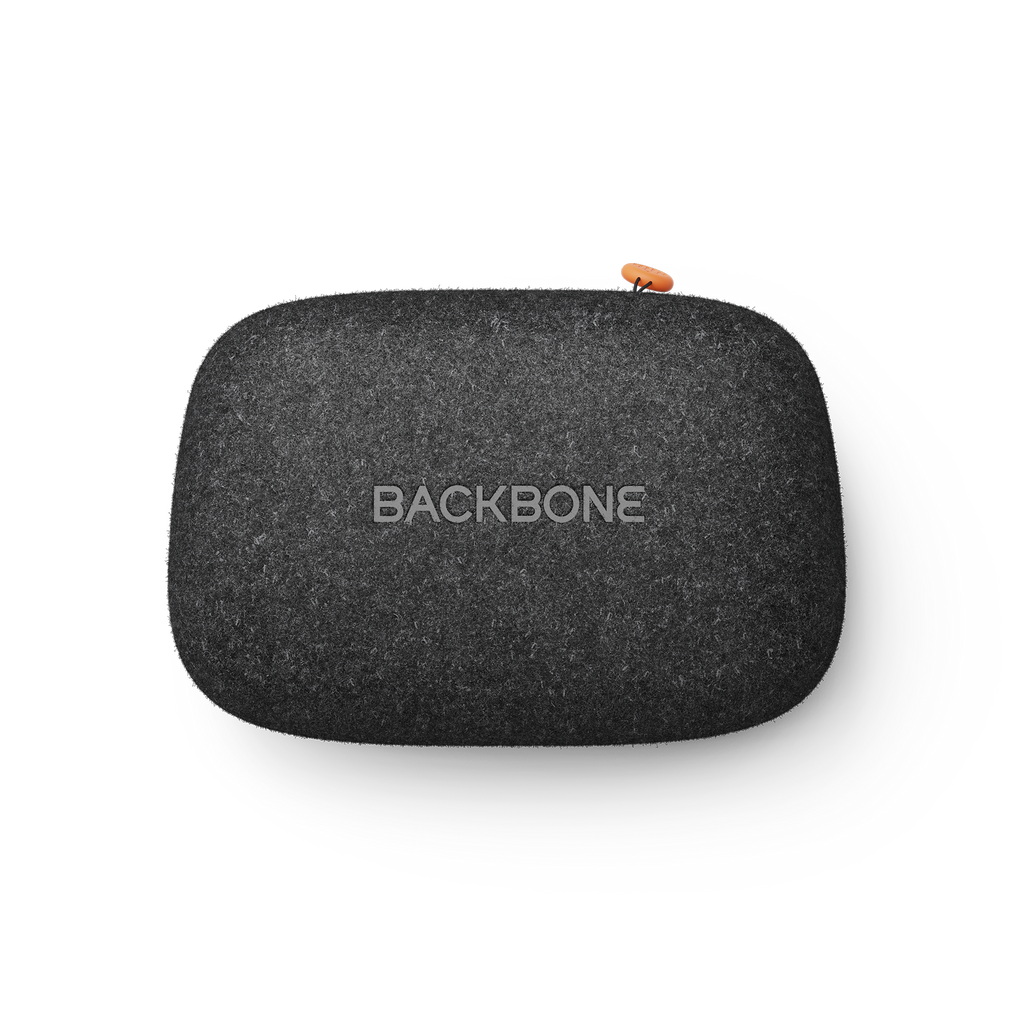 Backbone Universal Carrying Case