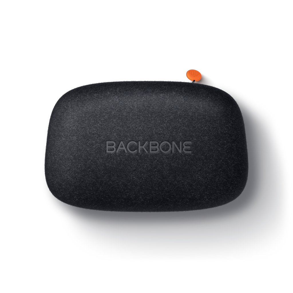 Backbone One Carrying Case